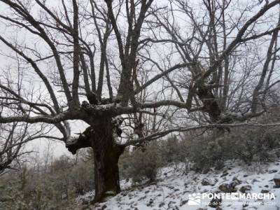 Circo de la Puebla. Sierra del Rincón;campamentos de la comunidad de madrid